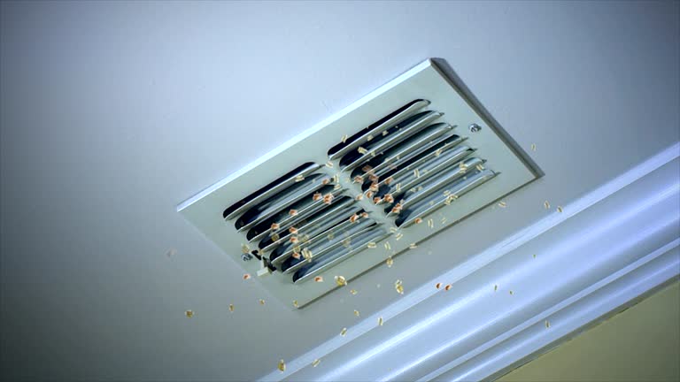 Professional Airduct Cleaning in Poteet, TX
